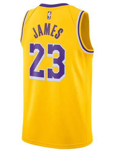 Los Angeles Lakers Youth LeBron James Icon Edition Swingman Jersey  Gold