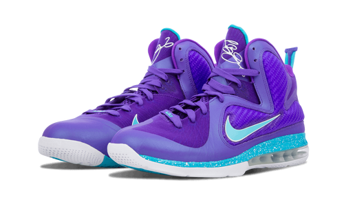 Nike Lebron 9 Pure Purple/turquoise Blue-wht